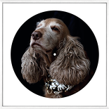 Marge und Grübl. Eine rudimentäre Aussprache, 2016 (Neuauflage)

Vinyl 12“ im Rahmen, 40 x 40 cm
11/90, rückseitig signiert und beschriftet

AUSRUFPREIS: 150.-